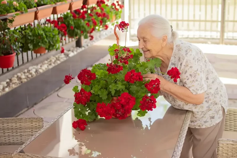 Pensiunea Seniorilor.
